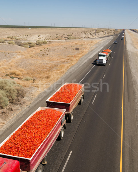 Roma Tomato Truckloads Travel Via Semi-Truck to Market Stock photo © cboswell