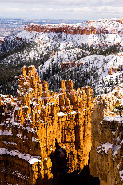 Fresh Snow Blankets Bryce Canyon Rock Formations Utah USA Stock photo © cboswell