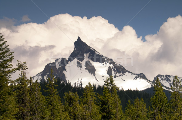 Duży wymarły wulkan Oregon kaskada Zdjęcia stock © cboswell