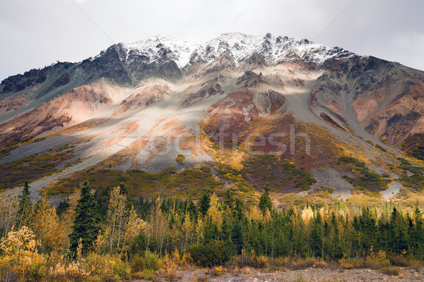 Automne couleur neige pic Alaska gamme Photo stock © cboswell