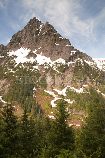 Fire Road Overlooks Sperry Peak North Cascade Mountain Range Stock photo © cboswell