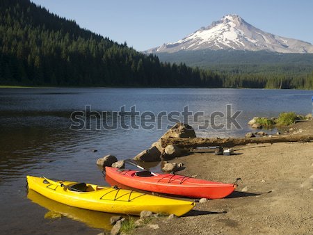 Lac natură zăpadă copaci albastru nisip Imagine de stoc © cboswell