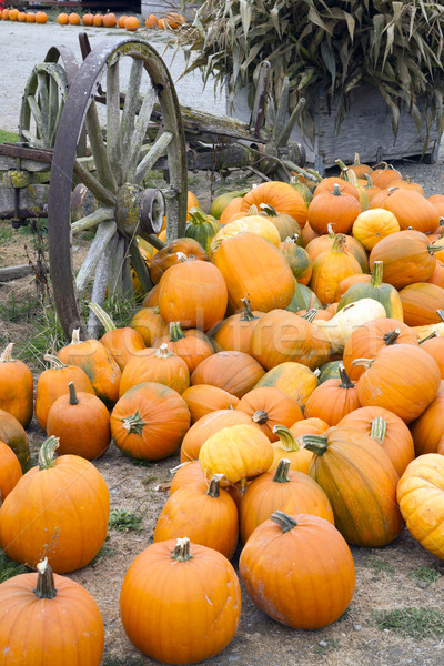 Farm Scene Old Wagon Vegetable Pile Autumn Pumpkins October Stock photo © cboswell