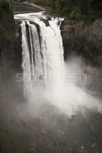 Snoqualmie Falls River Washington Waterfall Powerhouse Stock photo © cboswell