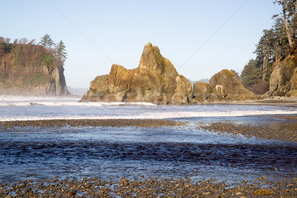 Pacific Ocean Coast Landscape Sea Surf Rugged Buttes Bluffs Stock photo © cboswell