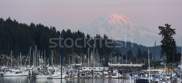 Mt Rainier Yachts Boats and Buildings Gig Harbor Washington Nort Stock photo © cboswell