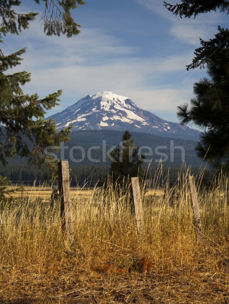 Grassland Fence Countryside Mount Adams Mountain Farmland Landsc Stock photo © cboswell