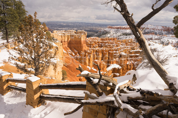 Fresh Snow Blankets Bryce Canyon Rock Formations Utah USA Stock photo © cboswell