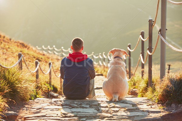 Stock foto: Mann · Hund · Reise · Berge · jungen · touristischen