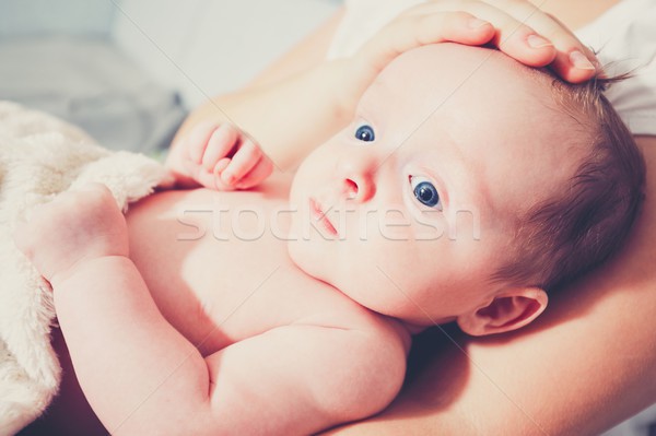 Foto d'archivio: Touch · maternità · giovani · madre · piccolo