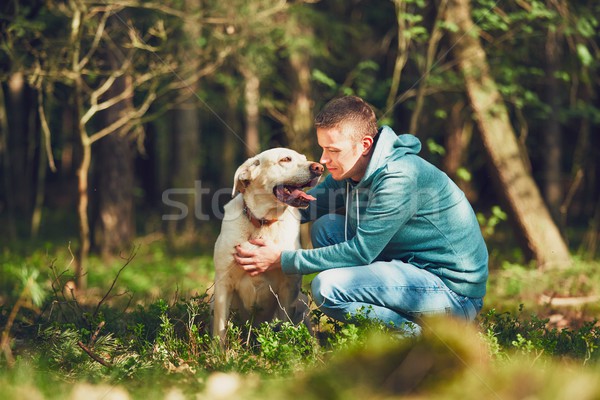 Hond bos zomer dag natuur Stockfoto © Chalabala