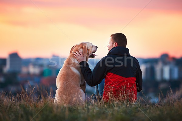 Wachten zon genieten man Geel labrador retriever Stockfoto © Chalabala