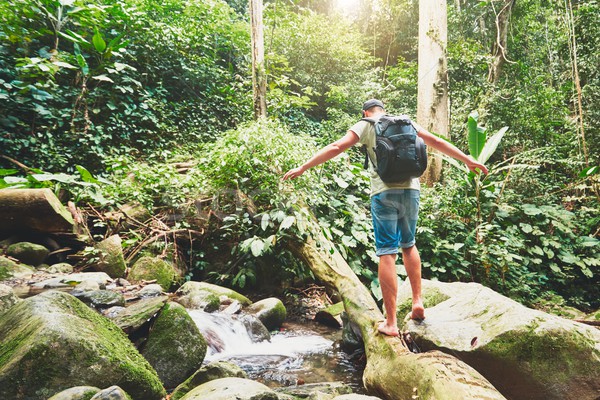 Stock foto: Wanderer · Fluss · tropischen · Borneo · Baum