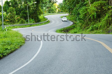 Stockfoto: Platteland · weg · berg · hout · bomen · groene