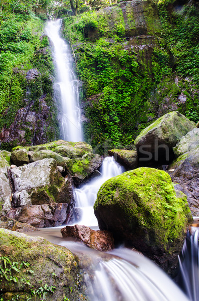 Waterval diep bos water landschap rivier Stockfoto © chatchai
