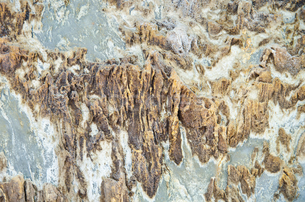 texture of Sedimentary rock Stock photo © chatchai