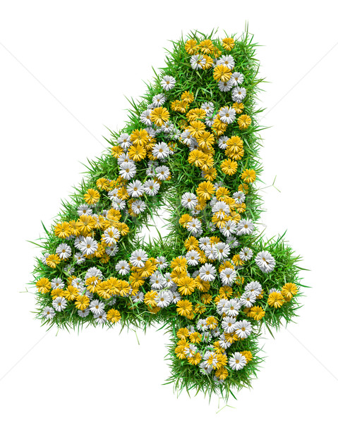 Number 4 of Green Grass And Flowers Stock photo © cherezoff