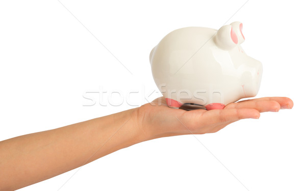 Piggy bank in humans hand Stock photo © cherezoff
