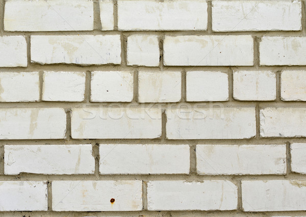 Wall of white bricks Stock photo © cherezoff