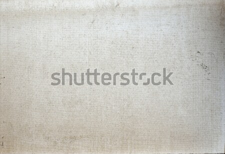 Plate of glass fibers and gypsum Stock photo © cherezoff