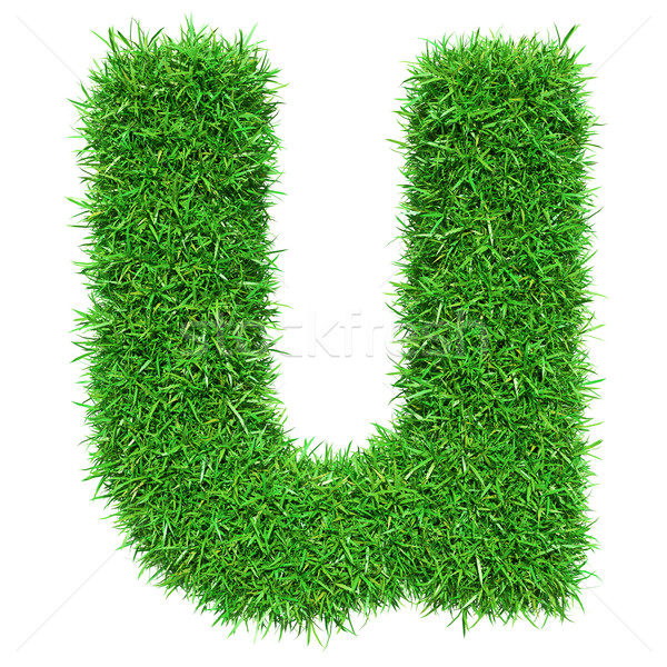 Grünen Gras Schreiben isoliert weiß Schriftart Design Stock foto © cherezoff