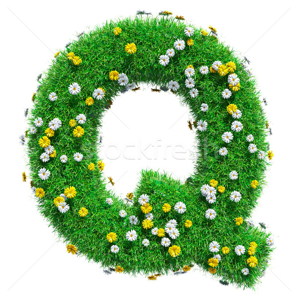 Letter Q Of Green Grass And Flowers Stock photo © cherezoff