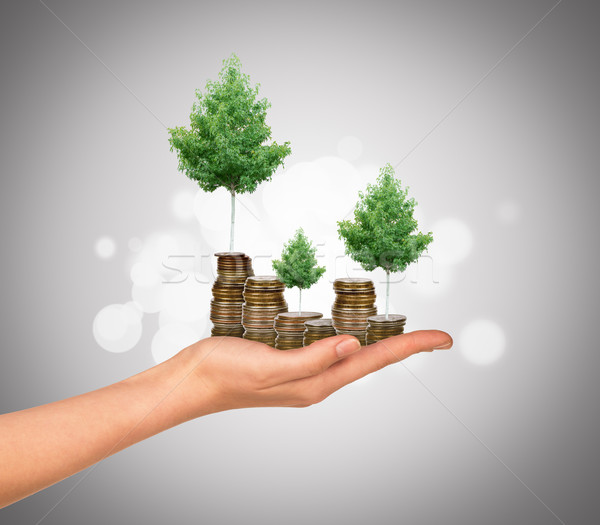 Humans arm holding tree and coins Stock photo © cherezoff