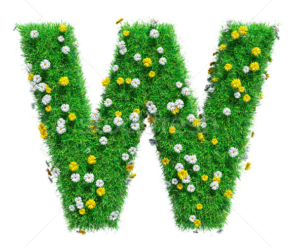 Сток-фото: зеленая · трава · цветы · изолированный · белый · шрифт