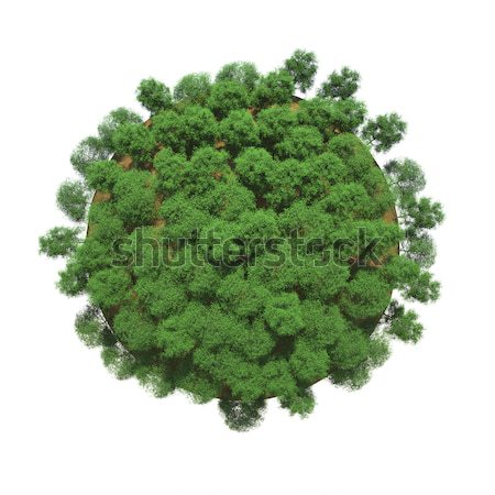 Green trees on a small planet Stock photo © cherezoff