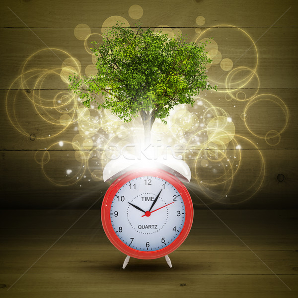 Alarm clock with magical green tree Stock photo © cherezoff