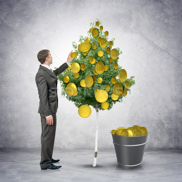 Businessman collecting coins from tree Stock photo © cherezoff