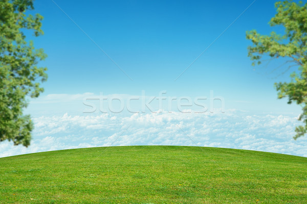 Landschap wolken groen gras centrum blauwe hemel hemel Stockfoto © cherezoff