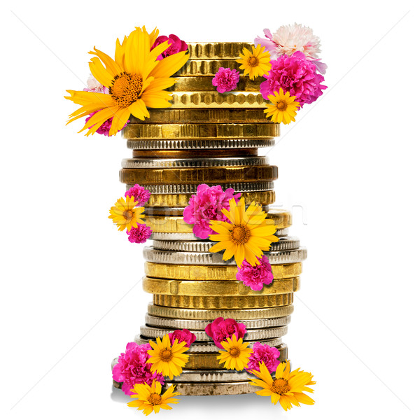 Monedas de oro flores aislado blanco dinero Foto stock © cherezoff