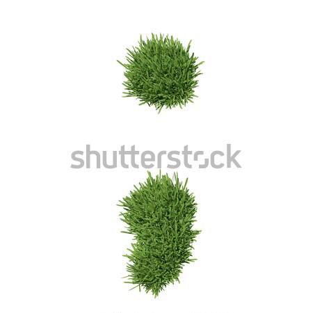 Satzzeichen Gras isoliert weiß Stock foto © cherezoff