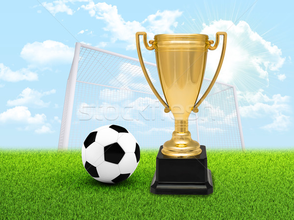 Cup with football on pitch Stock photo © cherezoff