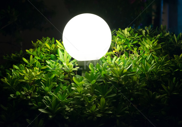 Street lamp in bush Stock photo © cherezoff