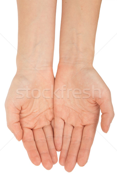 Humans arms on white Stock photo © cherezoff