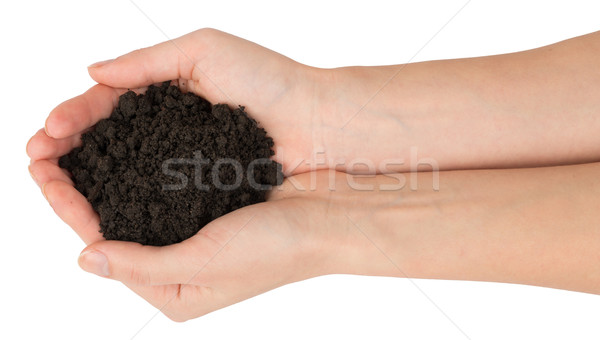 Heap of ground in humans hands, top view Stock photo © cherezoff