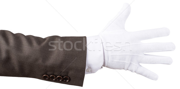 Elegante menselijke hand geïsoleerd witte business hand Stockfoto © cherezoff
