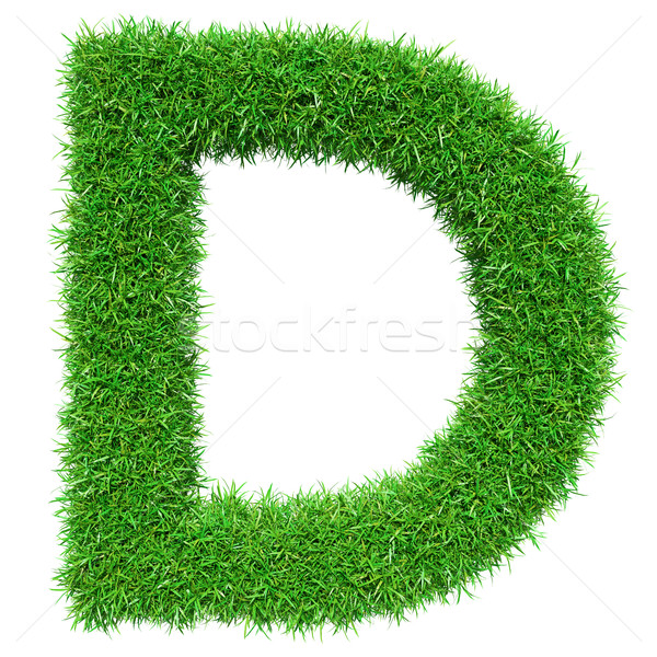 Green Grass Letter D Stock photo © cherezoff