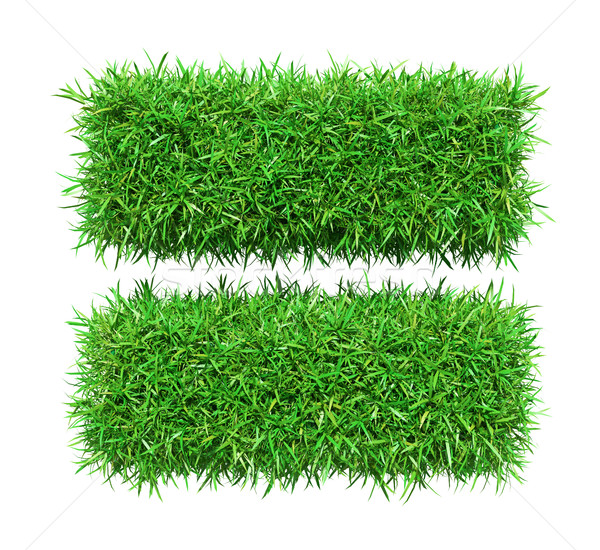 Green grass equally Stock photo © cherezoff