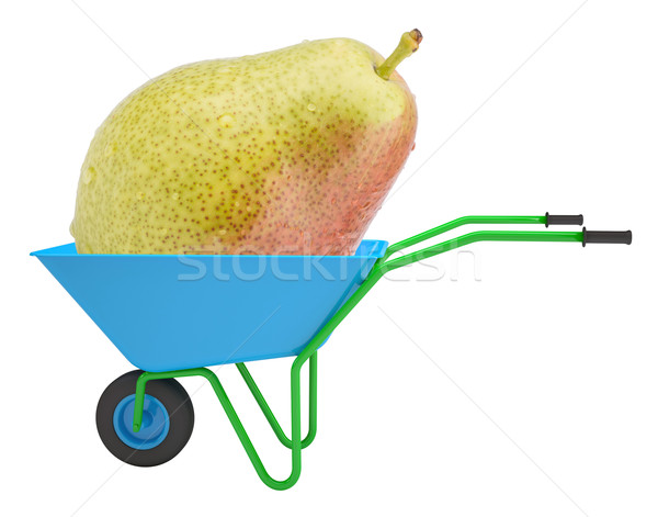 Pear in hand-barrow Stock photo © cherezoff