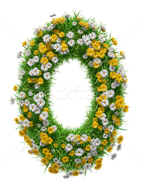 Nature frame of green grass and flowers Stock photo © cherezoff
