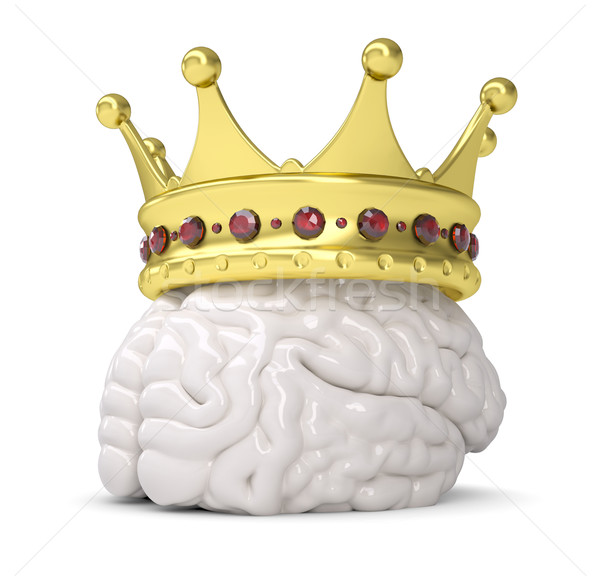 Crown on the brain Stock photo © cherezoff