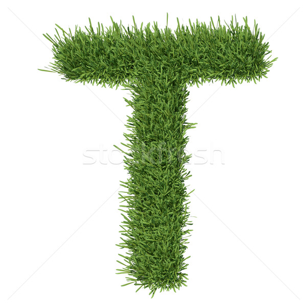 Scrisoare alfabet iarbă izolat face alb Imagine de stoc © cherezoff