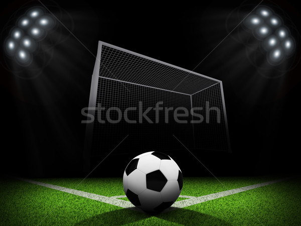 Stock photo: Ball in the corner of field