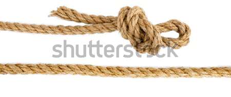Ship ropes with knot isolated on white background Stock photo © cherezoff