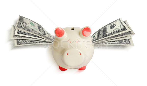A white piggy bank with wings of paper dollars Stock photo © cherezoff