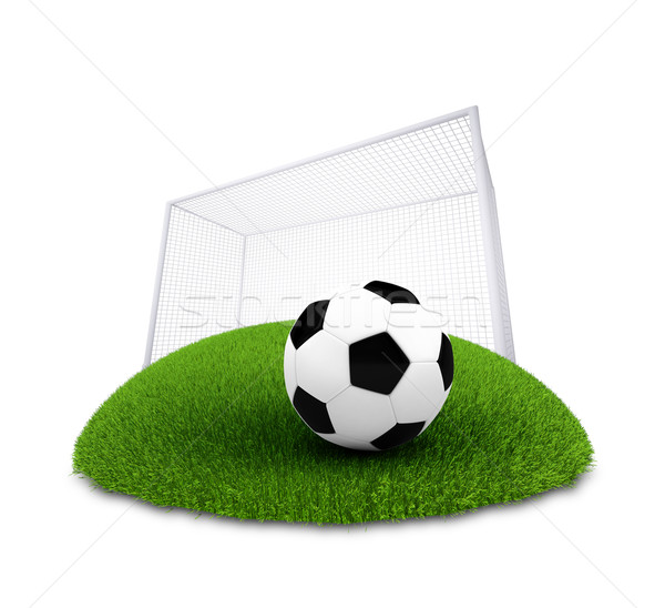 Soccer ball and gate on plot of green grass Stock photo © cherezoff