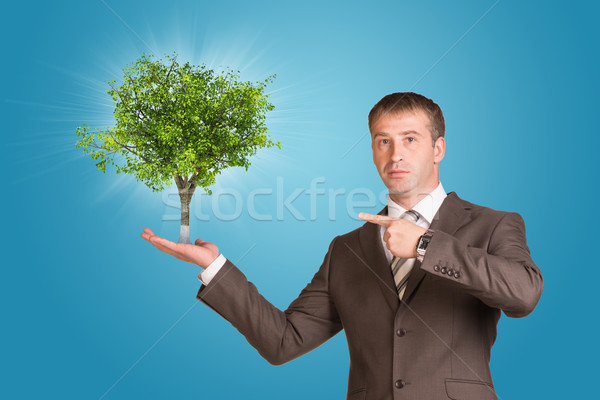 Businessman in a suit hold green tree Stock photo © cherezoff